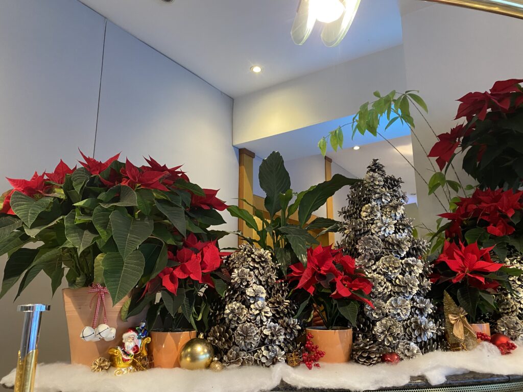 Beschriebene Tafel mit Weihnachtsdekoration und Weihnachtssternen